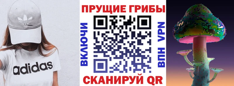Купить где  Ужур  Псилоцибиновые грибы прущие грибы 